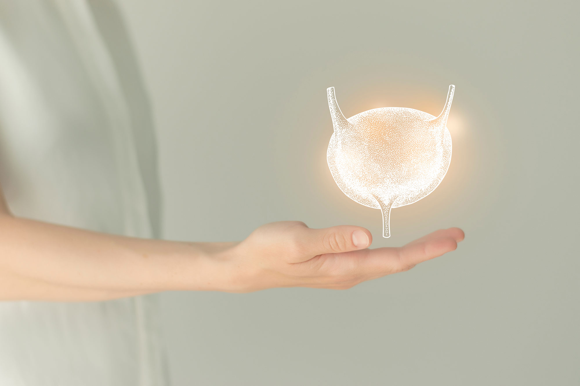 AdobeStock_455654872